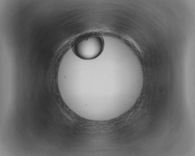 X0000112391064200908131339