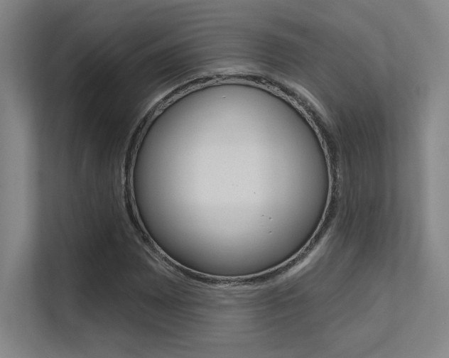 X0000112391065200908131339