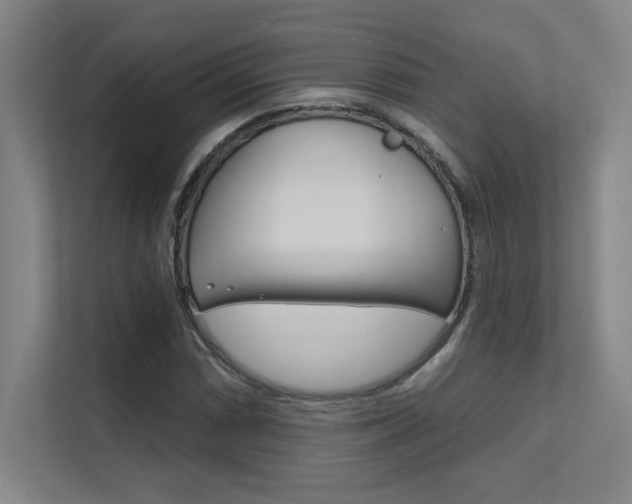 X0000112391066200908131339