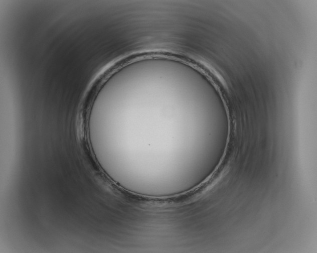 X0000112391069200908131339