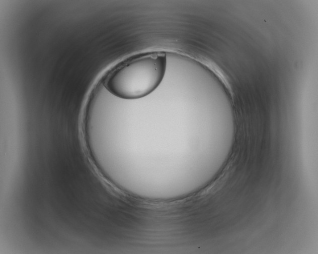 X0000112391072200908131339