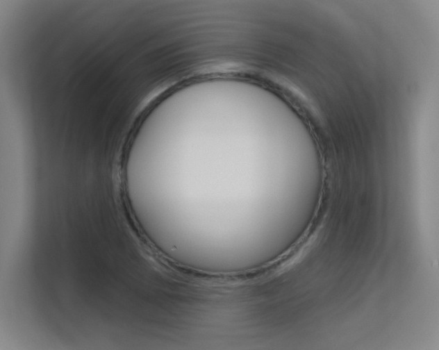 X0000112391073200908131339