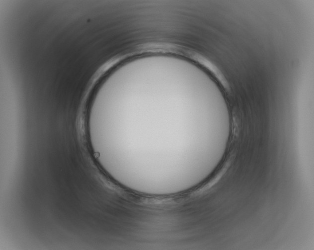 X0000112391074200908131339