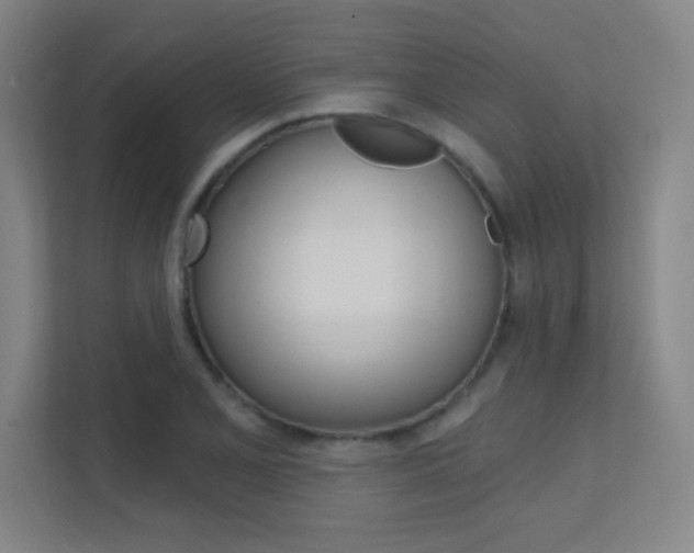 X0000112391077200908131339