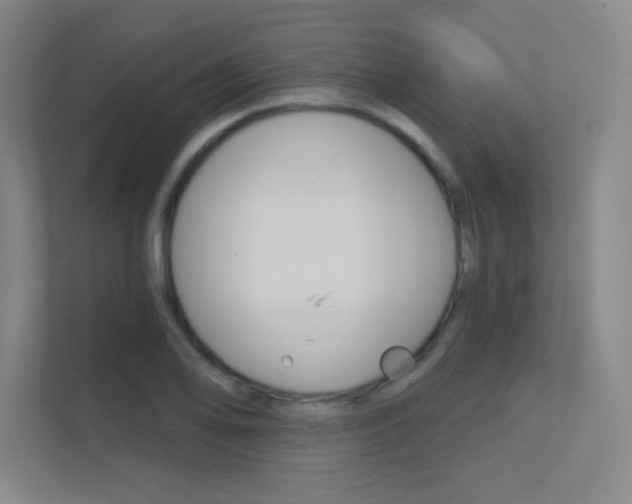 X0000112391078200908131339