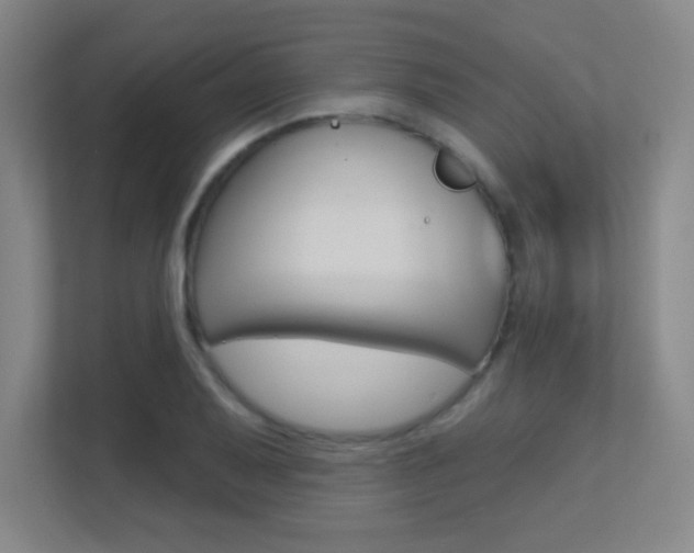 X0000112391079200908131339