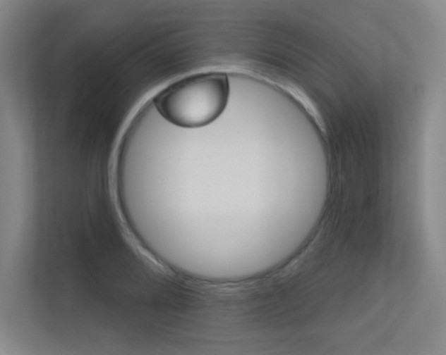 X0000112391080200908131339