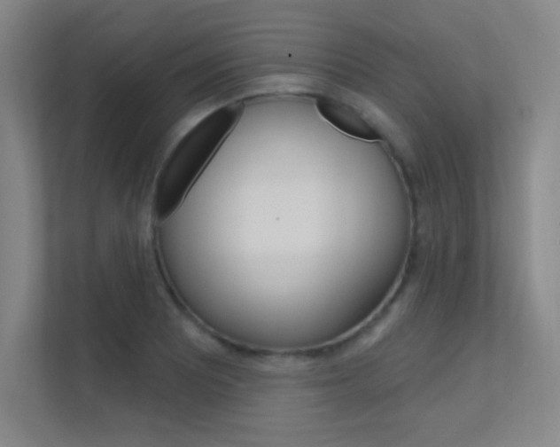 X0000112391081200908131339