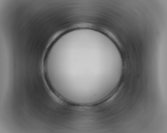 X0000112391082200908131339