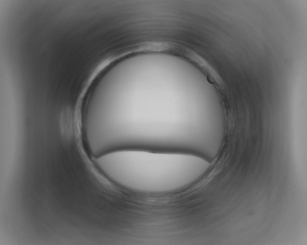 X0000112391083200908131339