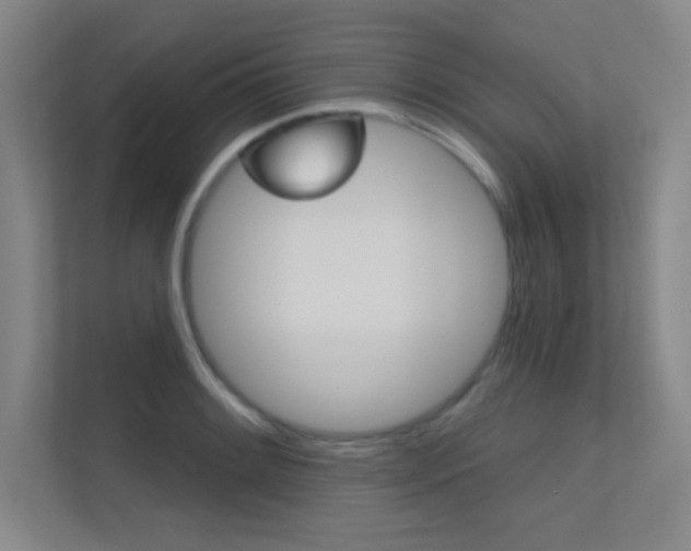X0000112391084200908131339