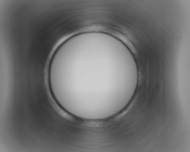 X0000112391086200908131339