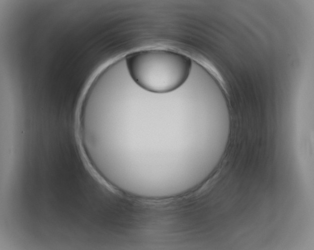 X0000112391088200908131339