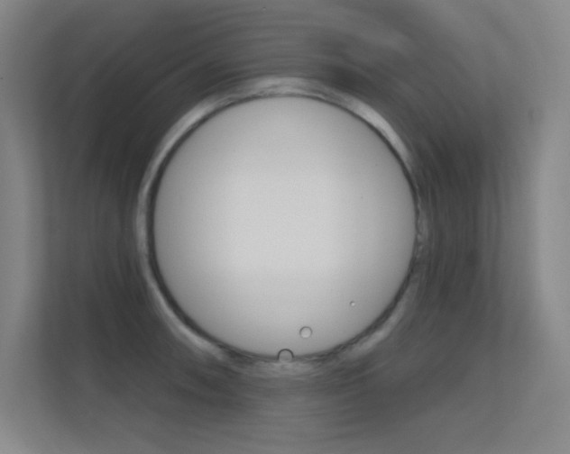 X0000112391090200908131339