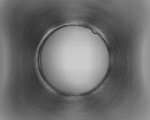 X0000112391091200908131339