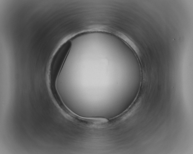 X0000112391093200908131339