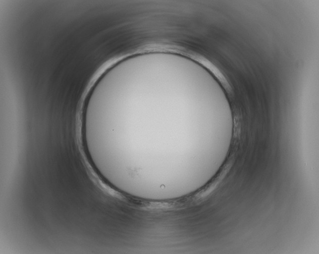 X0000112391094200908131339
