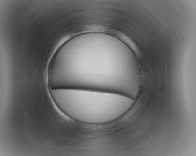 X0000112391095200908131339