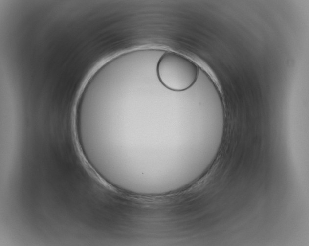 X0000112391096200908131339