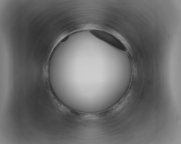 X0000112391097200908131339