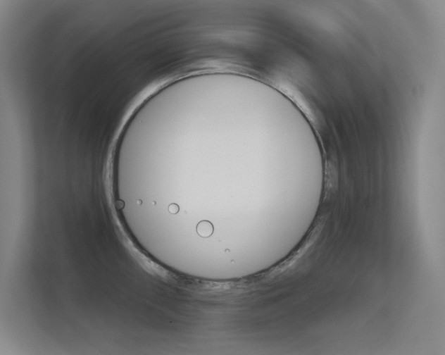 X0000112391098200908131339