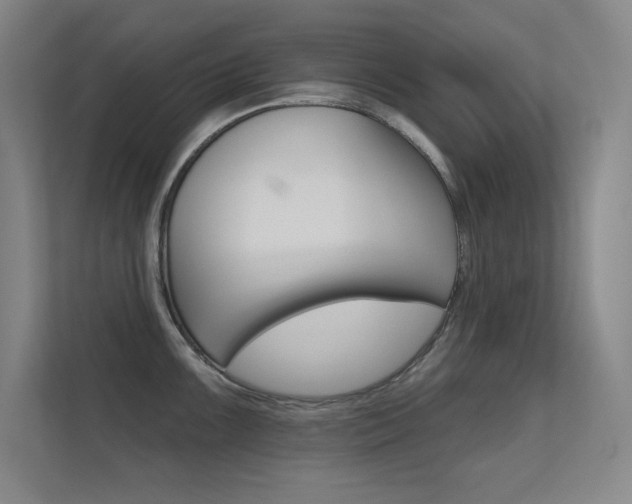 X0000112391099200908131339