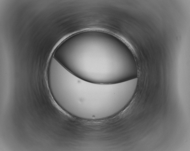 X0000112391100200908131339