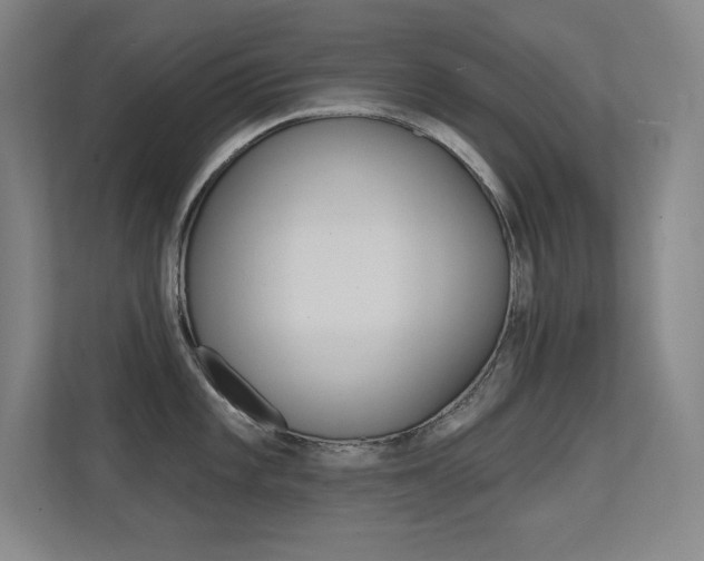 X0000112391101200908131339