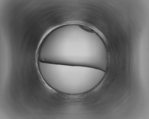 X0000112391102200908131339