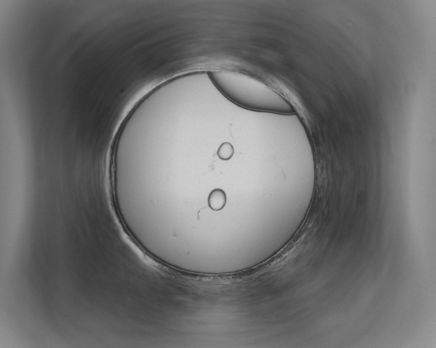 X0000112391103200908131339