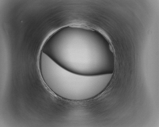 X0000112391104200908131339