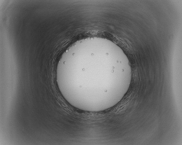 X0000112391105200908131338