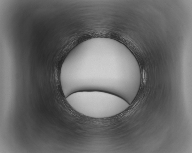 X0000112391107200908131338