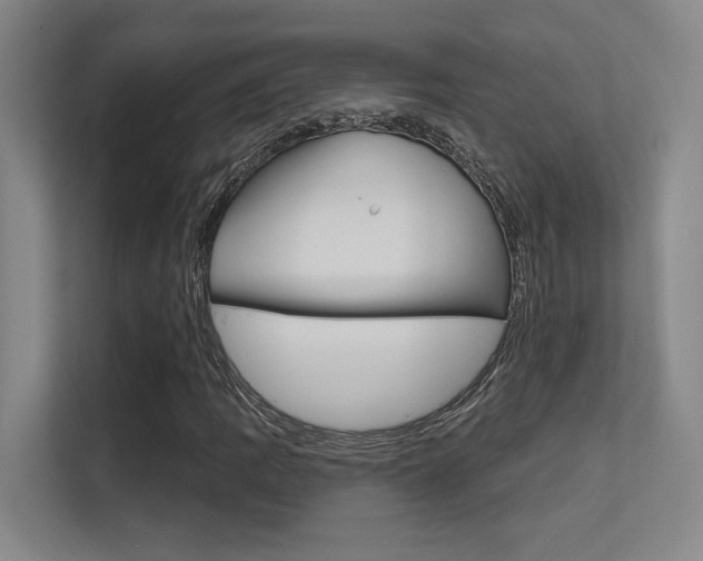 X0000112391109200908131338
