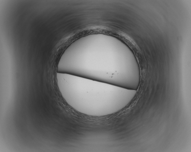 X0000112391111200908131338