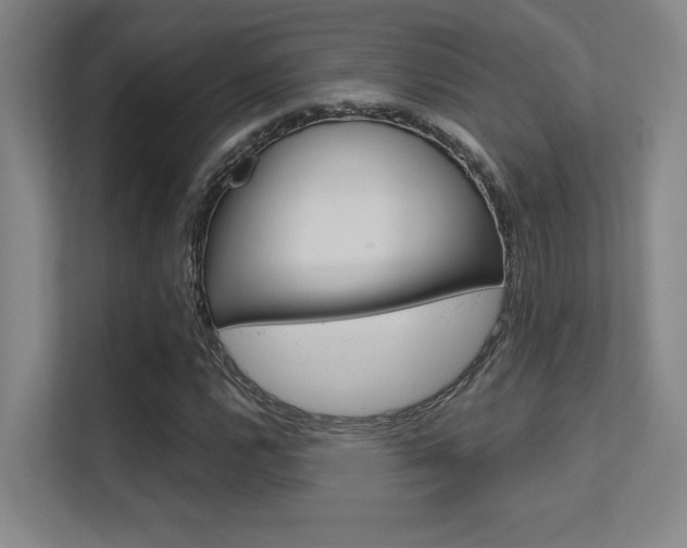 X0000112391112200908131338
