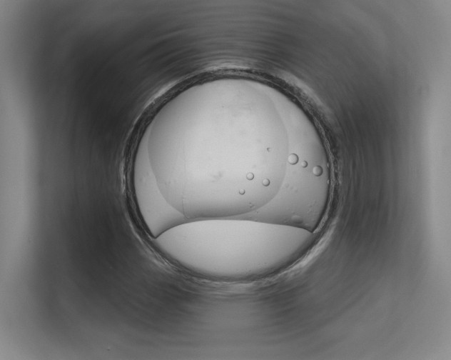X0000112391113200908131338