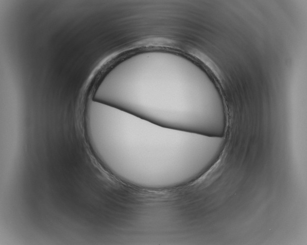 X0000112391115200908131338