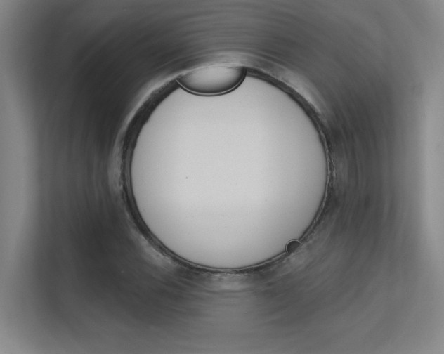 X0000112391116200908131338