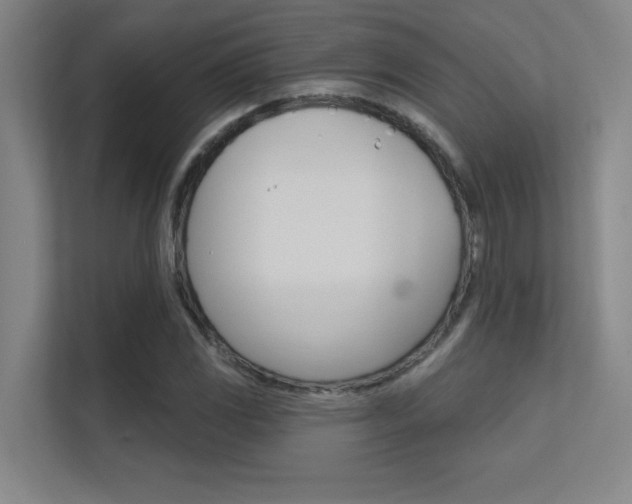 X0000112391117200908131338