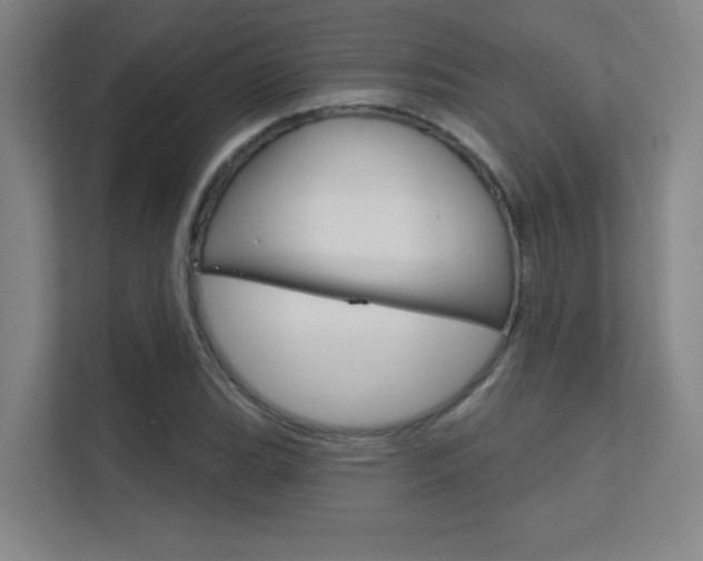 X0000112391119200908131338