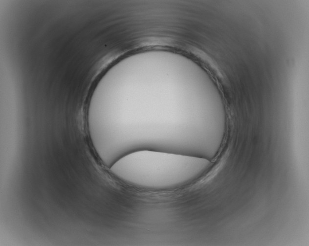 X0000112391121200908131338