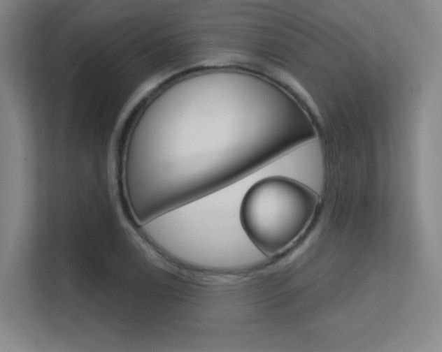 X0000112391122200908131338
