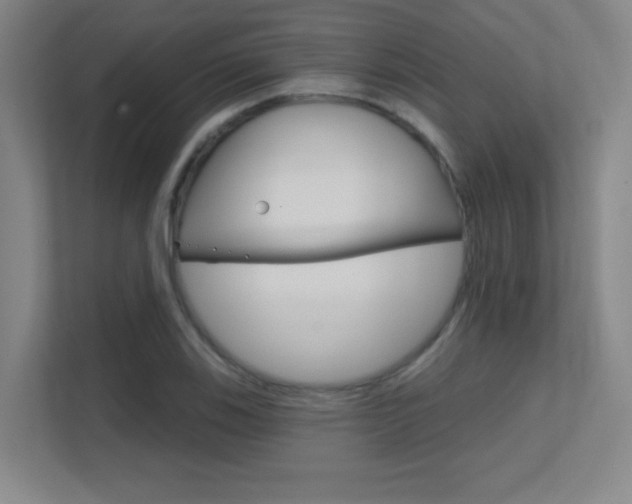 X0000112391123200908131338