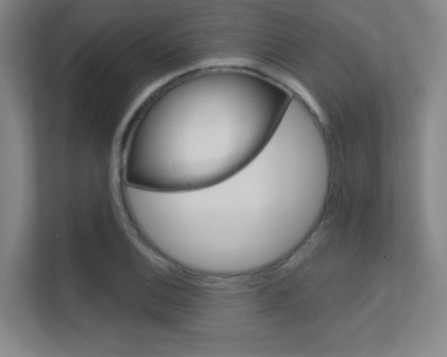X0000112391124200908131338