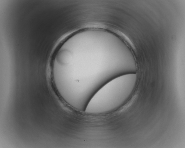 X0000112391125200908131338