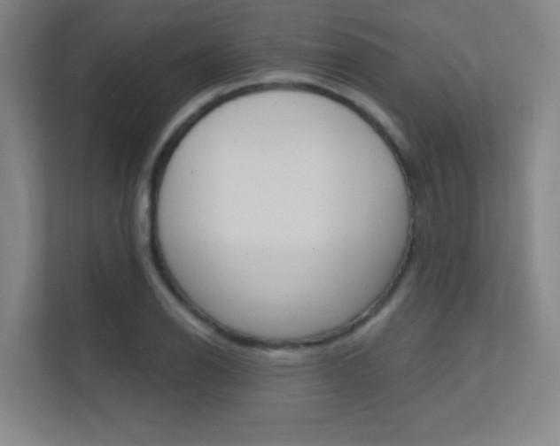 X0000112391126200908131338