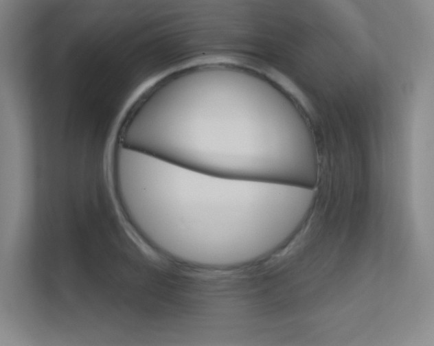 X0000112391127200908131338