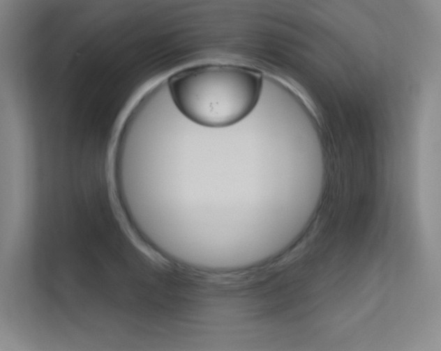 X0000112391128200908131338
