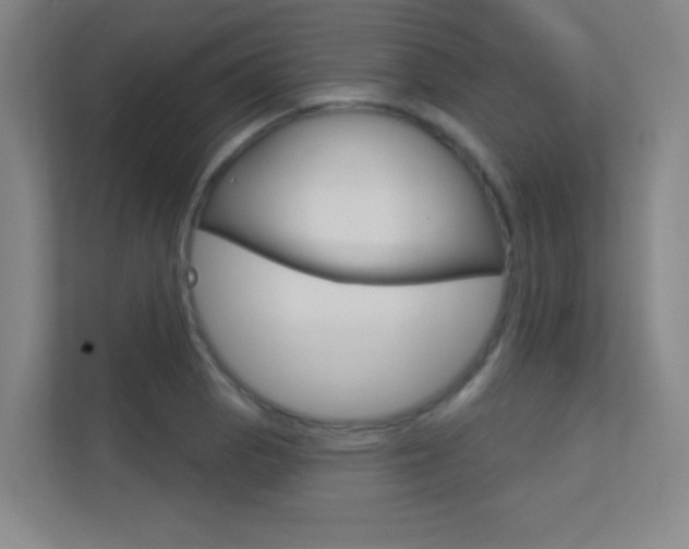X0000112391129200908131338